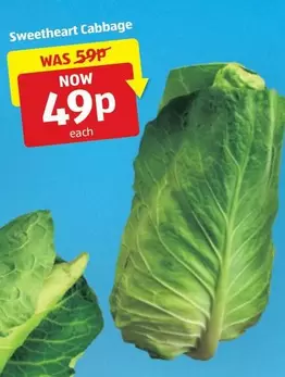 Sweetheart Cabbage
