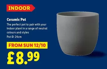 Sun - Ceramic Pot