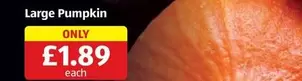 Large Pumpkin