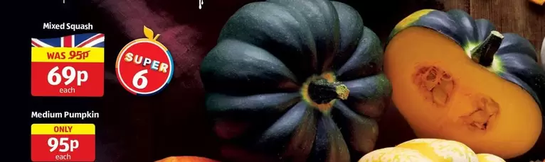Mixed Squash or Medium Pumpkin