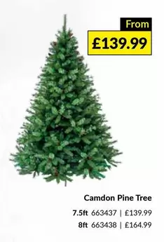 Camdon Pine Tree