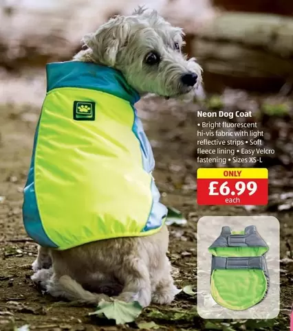 Neon Dog Coat