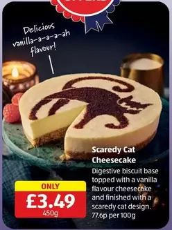 CAT - Scaredy Cat Cheesecake