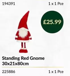 Standing Red Gnome