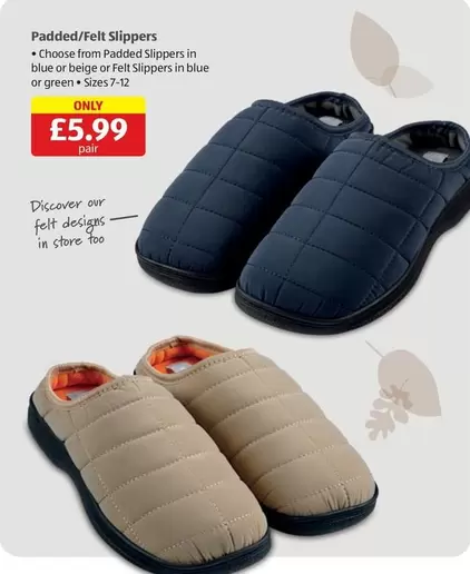 Padded/Felt Slippers