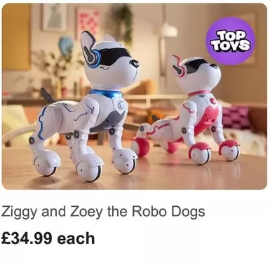 Ziggy and Zoey the Robo Dogs