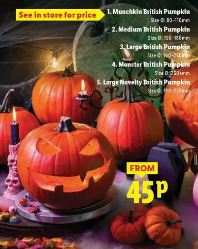 Monster - British Pumpkin