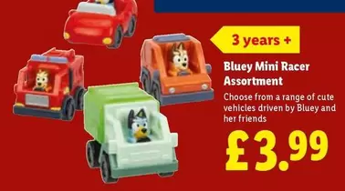 Mini Racer Assortment