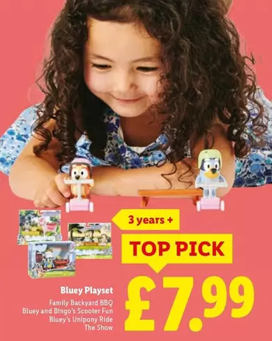Bluey Playset