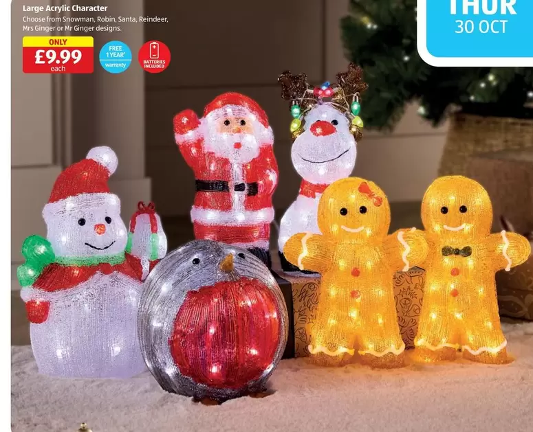 Large Acrylic Character