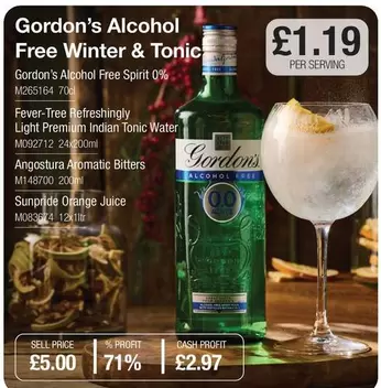 Gordon's - Alcohol Free Winter & Tonic