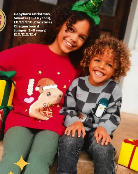 Capybara Christmas Sweater, Christmas Chequerboard Jumper