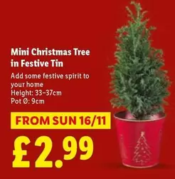Sun - Mini Christmas Tree in Festive Tin