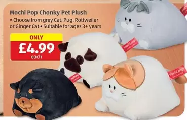 CAT - Mochi Pop Chonky Pet Plush