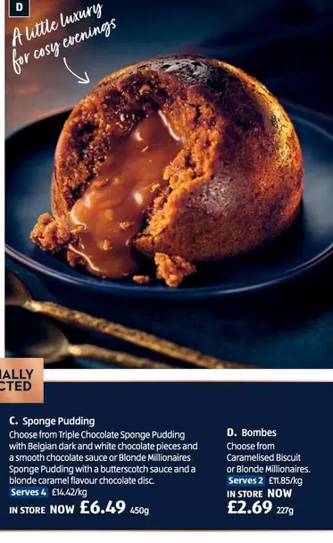 Luxury - Sponge Pudding, Bombes