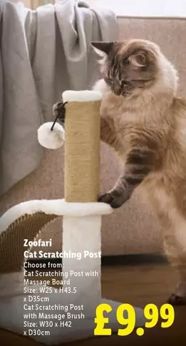 CAT - Cat Scratching Post