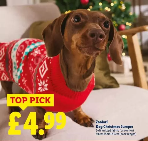 Comfort - Dog Christmas Jumper