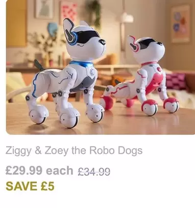 Ziggy & Zoey the Robo Dogs