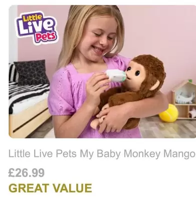 Mango - My Baby Monkey