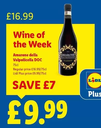 Lidl - Amarone della Valpolicella DOC