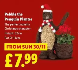 Penguin - Pebble the  Planter