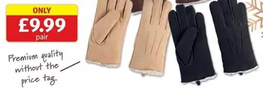 Premium - Suede Gloves