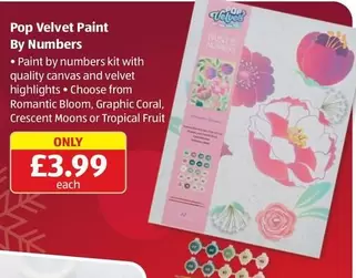 Velvet - Pop  Paint By Numbers