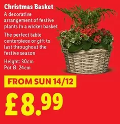 Sun - Christmas Basket