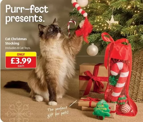 CAT - Cat Christmas Stocking