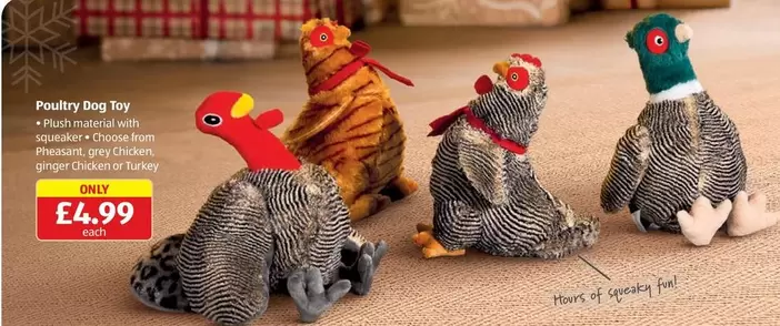 Poultry Dog Toy