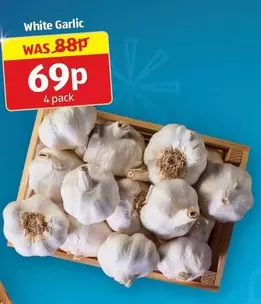 White Garlic