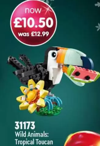 31173 Wild Animals: Tropical Toucan