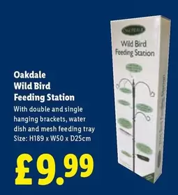 Wild Bird Feeding Station