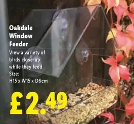 Window Feeder