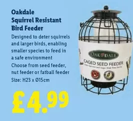 Squirrel Resistant Bird Feeder