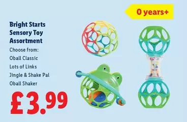 Sensory Toy Assortment