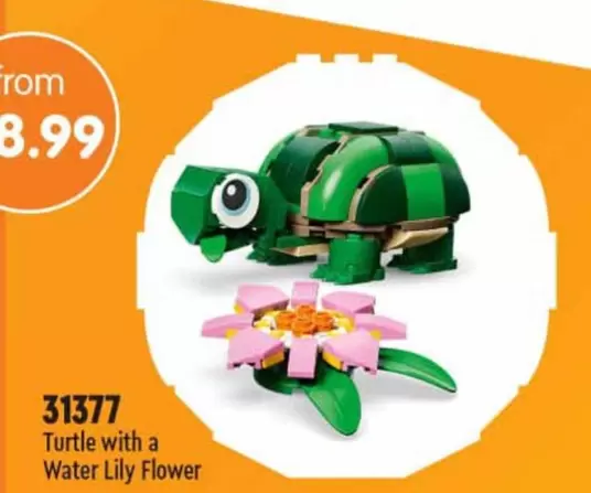 Turtle with a Water Lily Flower