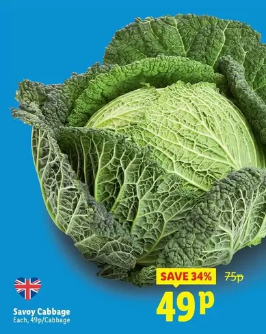 Savoy Cabbage