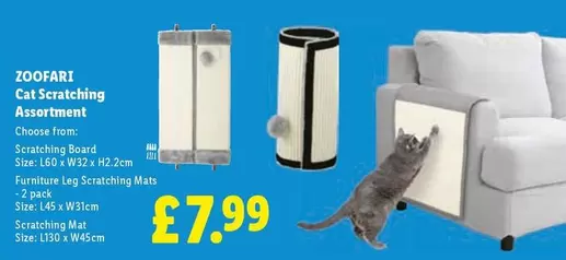 CAT - Cat Scratching Assortment