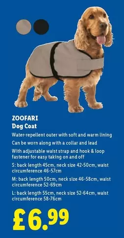 Dog Coat