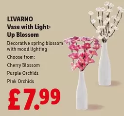 Livarno - Vase with Light-Up Blossom