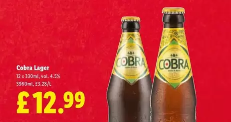 Cobra - Lager