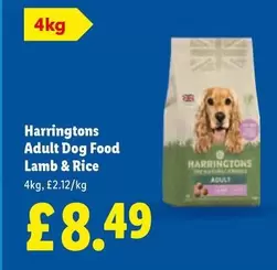 Adult Dog Food Lamb & Rice