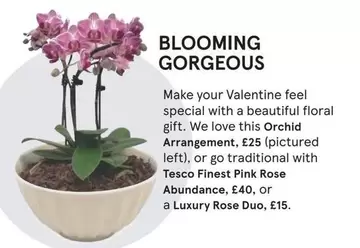 Luxury - Orchid Arrangement, Tesco Finest Pink Rose Abundance, Rose Duo