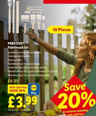 Parkside - Paintbrush Set