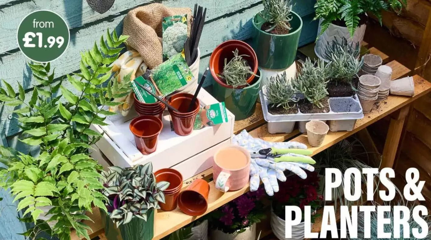 Pots & Planters