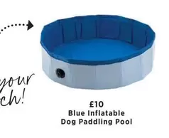 Blue Inflatable Dog Paddling Pool
