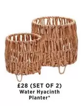 Water Hyacinth Planter