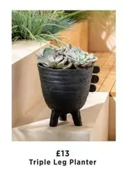 Triple Leg Planter
