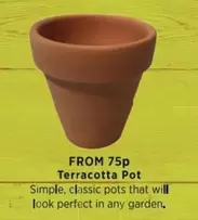Simple - Terracotta Pot